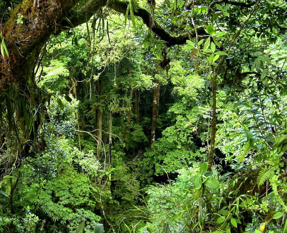 Dodori National Reserve（多多里国家保护区）-非行家旅行-Africa Wild Wander