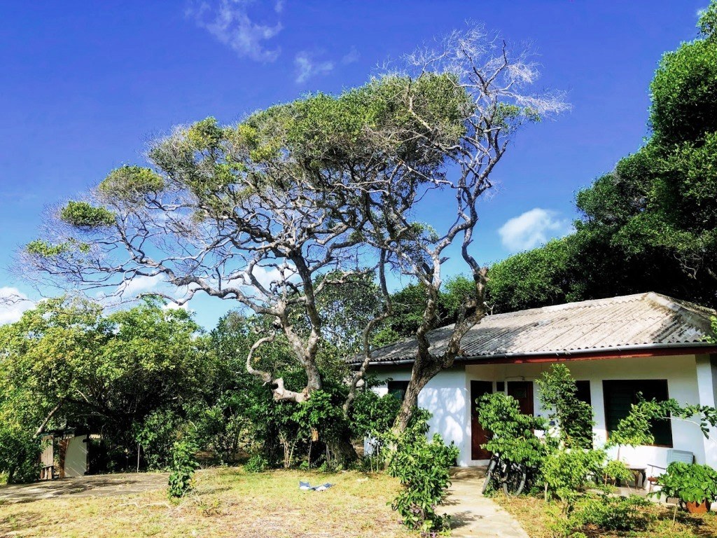 A Rocha Conservation（水系 / 湖泊 / 海岸）-非行家旅行-Africa Wild Wander
