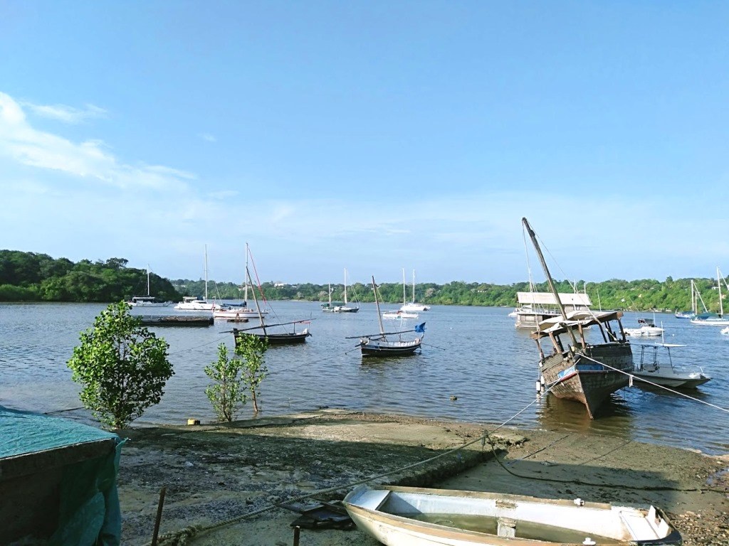 Kilifi Boatyard（水系 / 湖泊 / 海岸）-非行家旅行-Africa Wild Wander