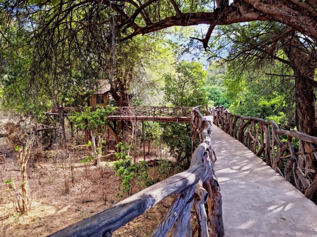 Sarara Camp（住宿 / Safari 营地）-非行家旅行-Africa Wild Wander