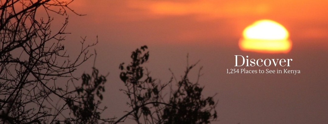 Festival Calendar（文化活动 / 创作体验）-非行家旅行-Africa Wild Wander