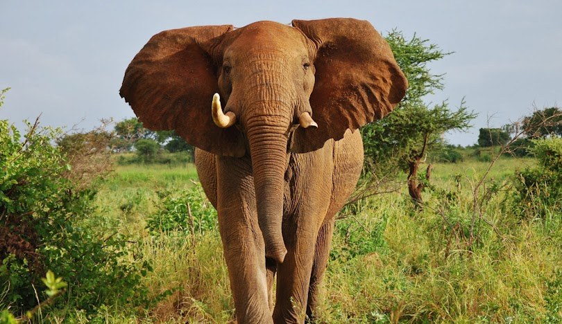 Malka Mari National Park（国家公园 / 保护区 / Safari）-非行家旅行-Africa Wild Wander