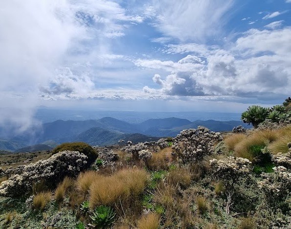 Murang'a County（穆兰加县）-非行家旅行-Africa Wild Wander