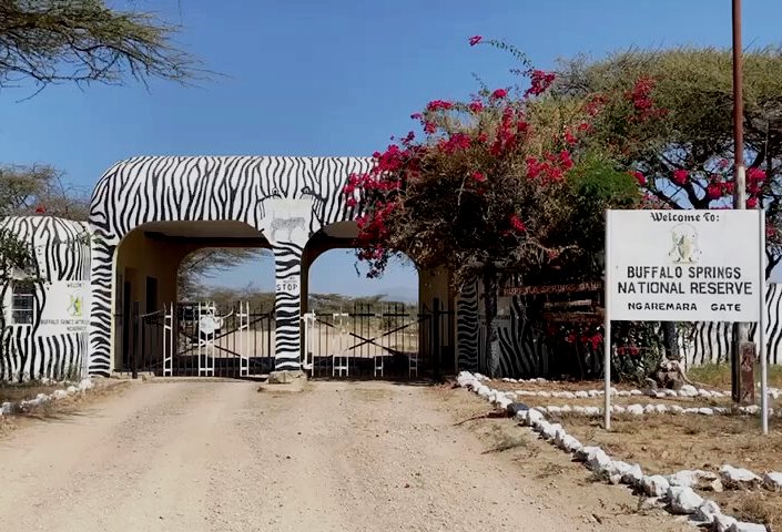 Buffalo Springs Reserve（水系 / 湖泊 / 海岸）-非行家旅行-Africa Wild Wander