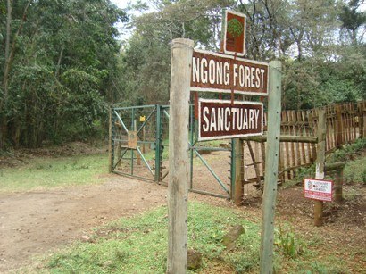 Kenya's Forests（水系 / 湖泊 / 海岸）-非行家旅行-Africa Wild Wander