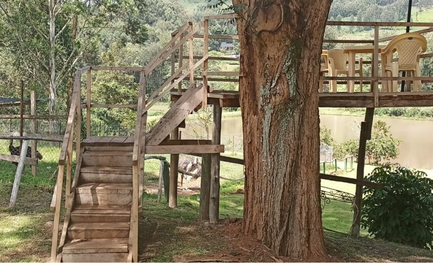 Amanzi Resort（水系 / 湖泊 / 海岸）-非行家旅行-Africa Wild Wander
