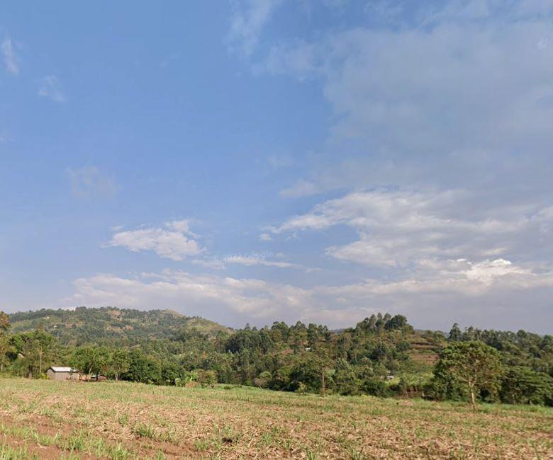 North Nandi Forest(北南迪森林)-非行家旅行-Africa Wild Wander