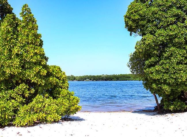 Sudi Island（水系 / 湖泊 / 海岸）-非行家旅行-Africa Wild Wander