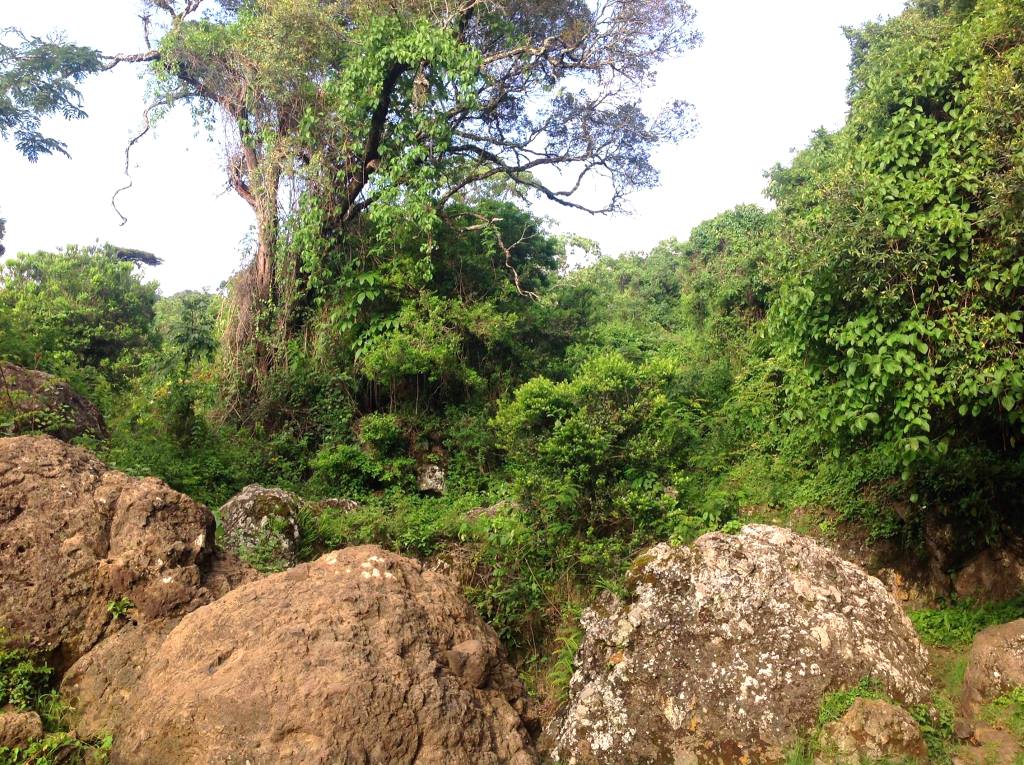 Keben Spring Water（产业 / 地方资源）-非行家旅行-Africa Wild Wander