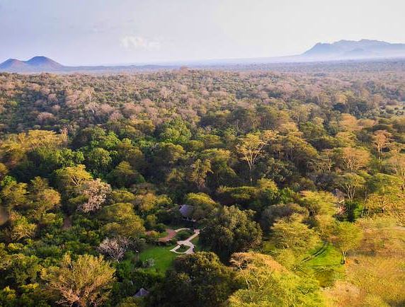 Kibwezi Forest（基布韦齐森林）-非行家旅行-Africa Wild Wander