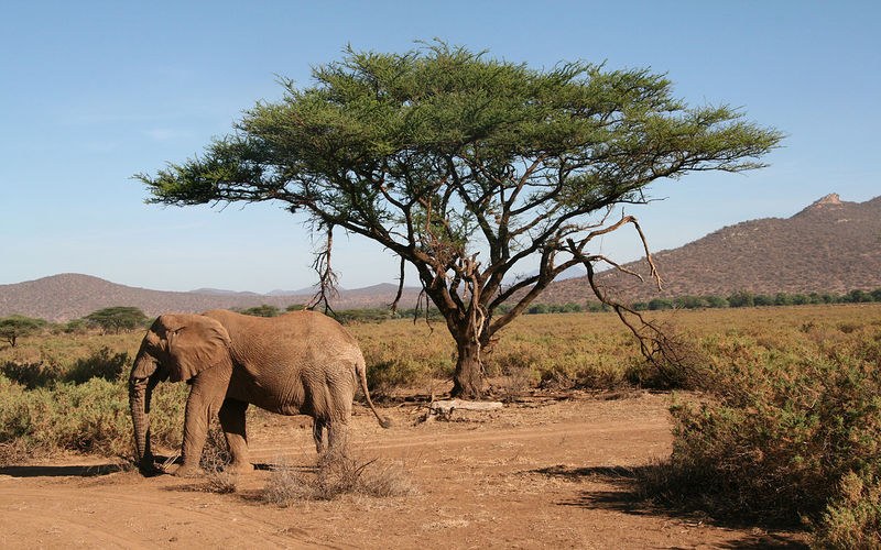 Masai Mara National Reserve, Aberdare National Park, Samburu National Reserve, Maralal Game Reserve, Lake Kanyaboli National Reserve（水系 / 湖泊 / 海岸）-非行家旅行-Africa Wild Wander