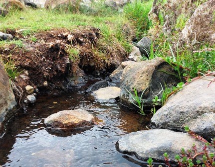 Tharu Springs（地貌 / 瀑布 / 泉水）-非行家旅行-Africa Wild Wander