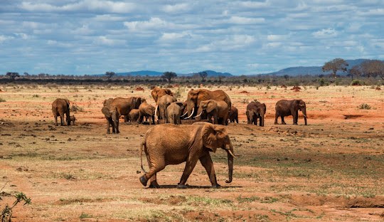 Tana River County（塔纳河县）-非行家旅行-Africa Wild Wander