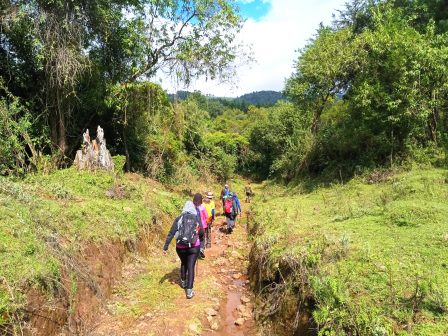 Mount Kipipiri（基皮皮里山）-非行家旅行-Africa Wild Wander