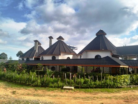 Turaco Resort（蕉鹃度假村）-非行家旅行-Africa Wild Wander