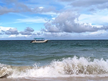 Diani-Chale Marine National Reserve（迪亚尼-查莱海洋国家保护区）-非行家旅行-Africa Wild Wander