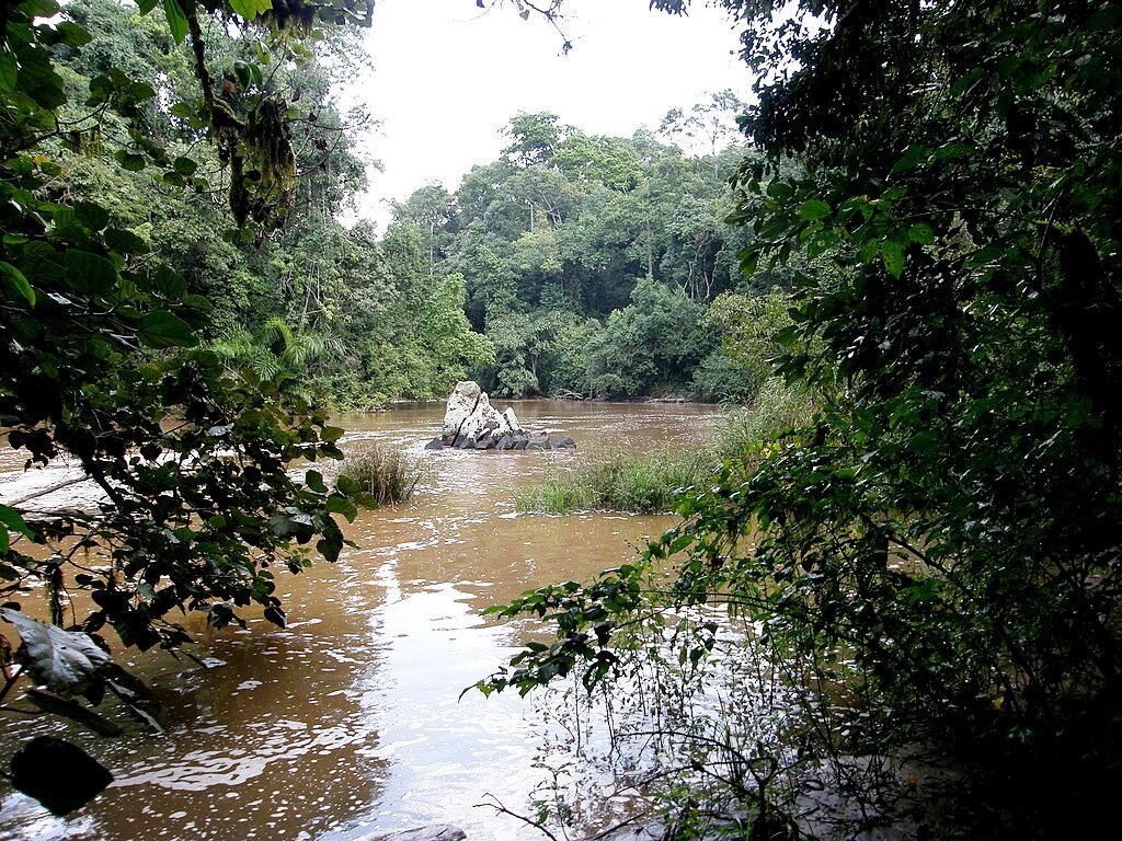 River Yala（亚拉河）-非行家旅行-Africa Wild Wander