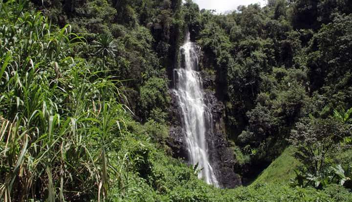 Nyeri County（县域概览）-非行家旅行-Africa Wild Wander