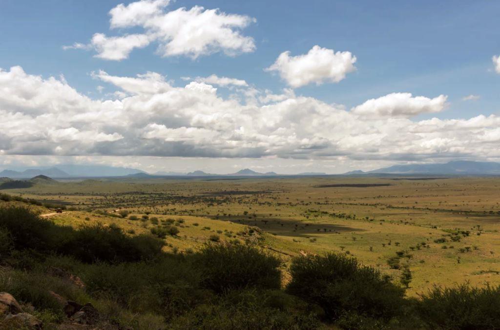 Loroghi Plateau（山地 / 高原 / 荒漠地貌）-非行家旅行-Africa Wild Wander