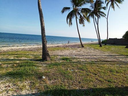 Kikambala Beach（水系 / 湖泊 / 海岸）-非行家旅行-Africa Wild Wander