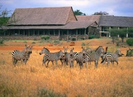 Kilaguni Safari Lodge（Tsavo West / 火山与泉水）-非行家旅行-Africa Wild Wander