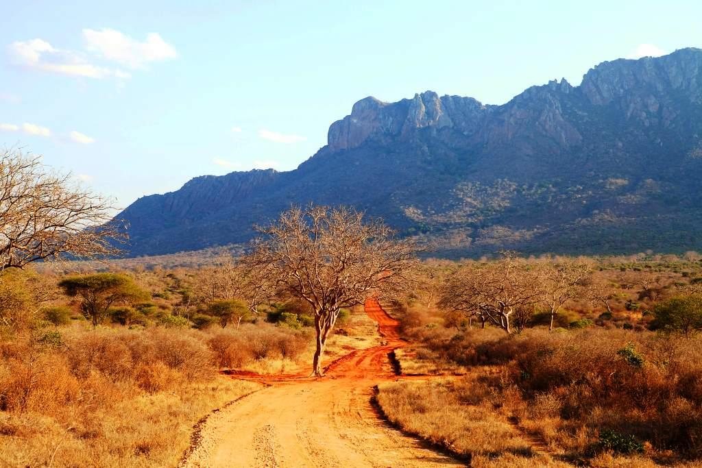 Ngulia Hills（Tsavo West / 火山与泉水）-非行家旅行-Africa Wild Wander