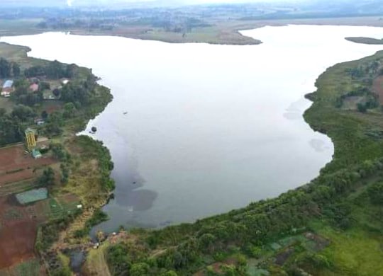 Kesses Dam（凯塞斯水坝 / Lake Lessos）-非行家旅行-Africa Wild Wander