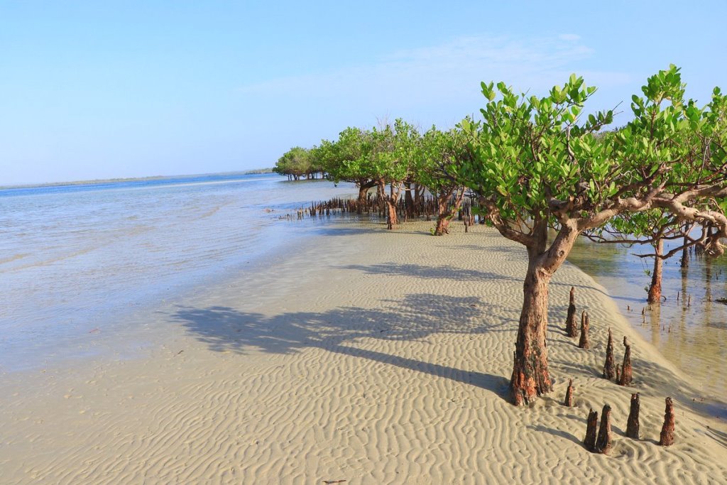 Funzi Island（芬齐岛）-非行家旅行-Africa Wild Wander