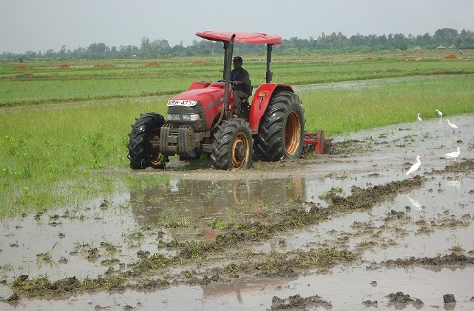 Bunyala Rice Scheme（水系 / 湖泊 / 海岸）-非行家旅行-Africa Wild Wander