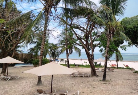 Diani-Chale Marine National Reserve（迪亚尼-查莱海洋国家保护区）-非行家旅行-Africa Wild Wander