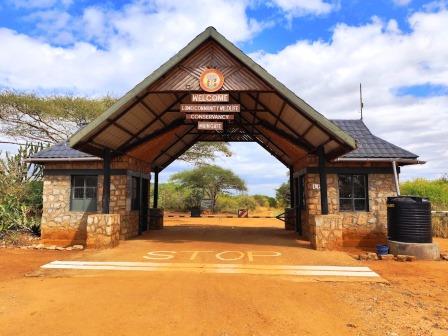 LUMO Wildlife Conservancy（LUMO 野生动物保护地）-非行家旅行-Africa Wild Wander