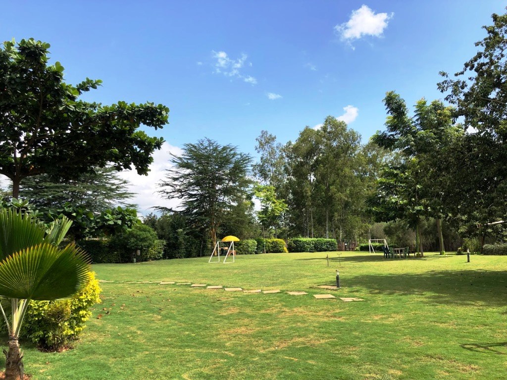 Tetura Camp（住宿休闲 / 周末营地）-非行家旅行-Africa Wild Wander
