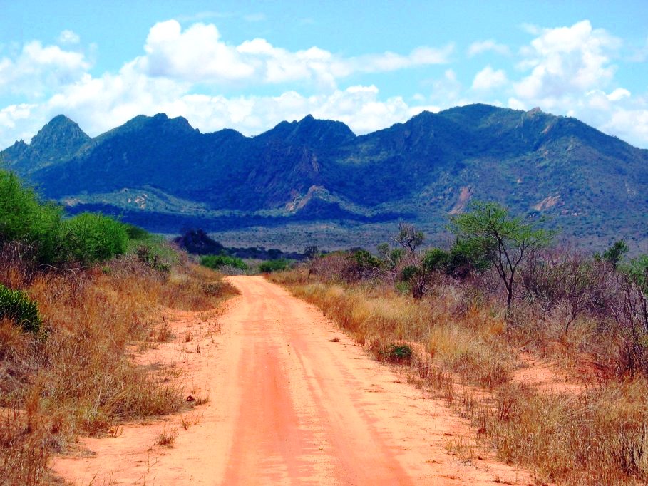 Ngulia Hills（Tsavo West / 火山与泉水）-非行家旅行-Africa Wild Wander