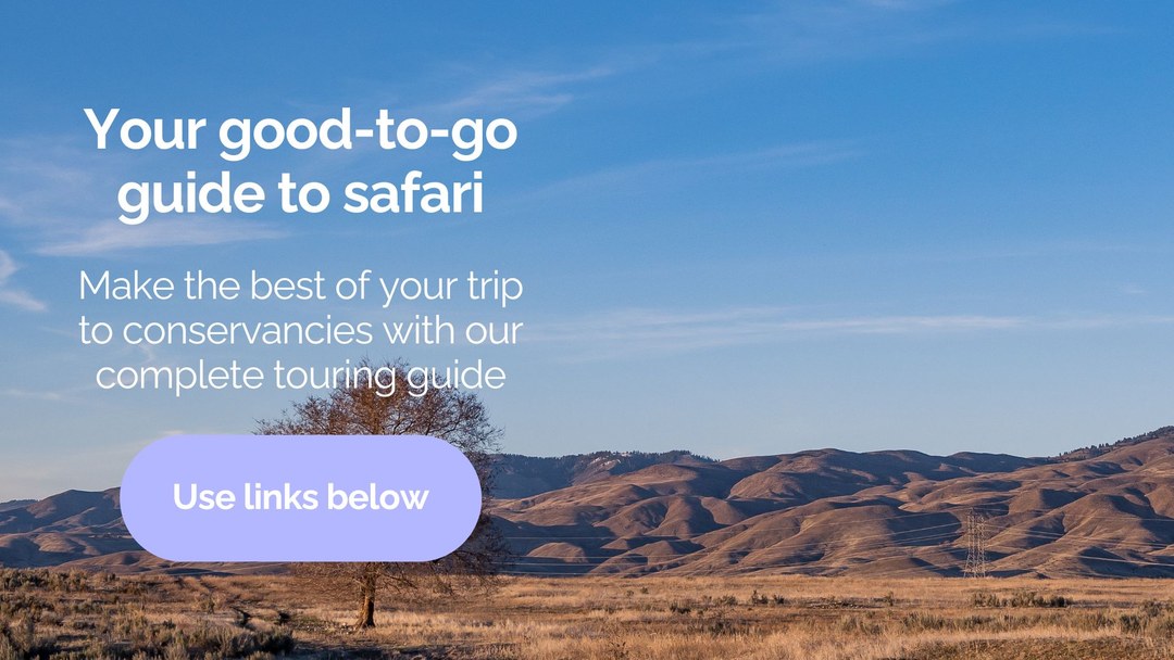 Conservancies in Kenya(肯尼亚保护地)-非行家旅行-Africa Wild Wander