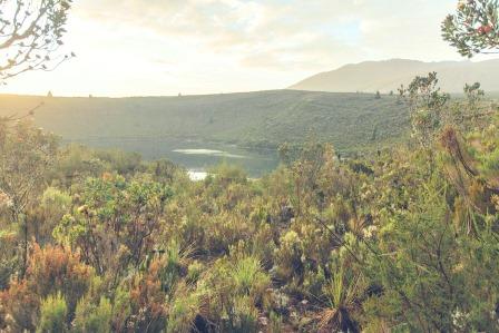 Rutundu Log Cabins（县域目的地）-非行家旅行-Africa Wild Wander