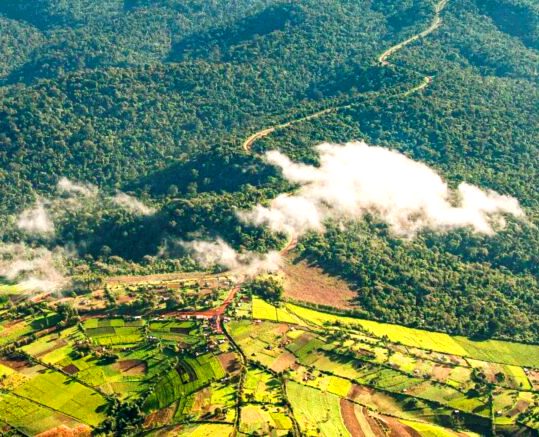 Mau Forest Reserve（毛森林保护区）-非行家旅行-Africa Wild Wander