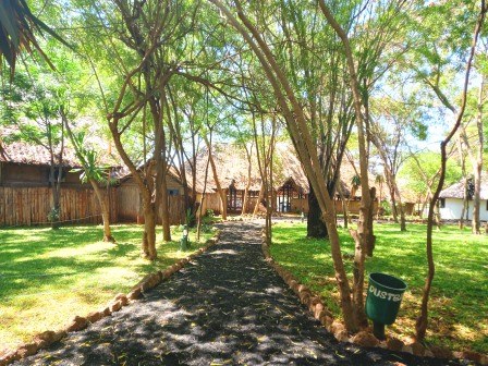 Voyager Ziwani Camp（住宿 / Safari 营地）-非行家旅行-Africa Wild Wander