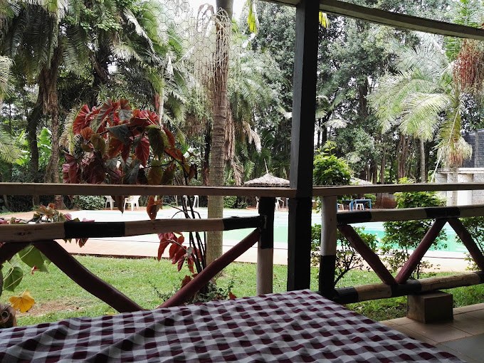 Thuci River Lodge（水系 / 湖泊 / 海岸）-非行家旅行-Africa Wild Wander