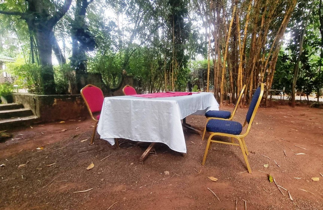 Roddy’s Green Lounge(罗迪绿色休闲营地)-非行家旅行-Africa Wild Wander