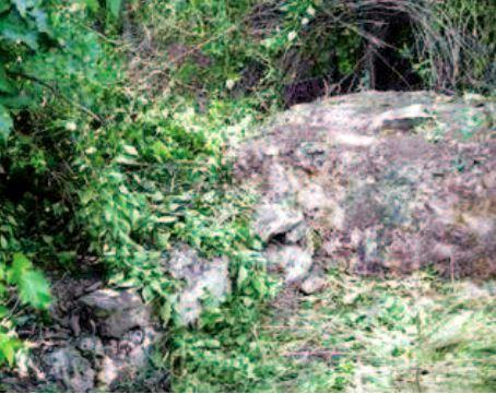 Fort Makupa（历史遗产 / 博物馆）-非行家旅行-Africa Wild Wander