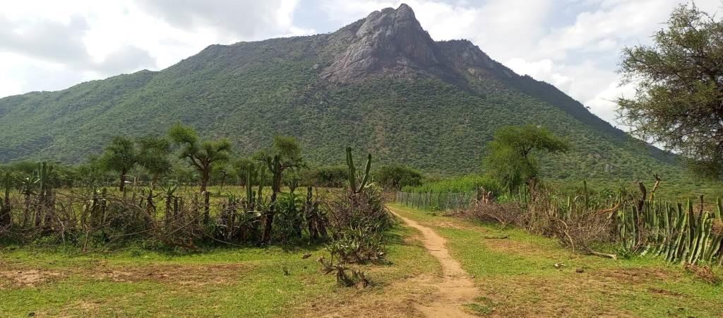 Murpus Hill（自然景观 / 徒步）-非行家旅行-Africa Wild Wander