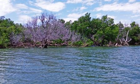 Sii Island（海滩 / 岛屿）-非行家旅行-Africa Wild Wander