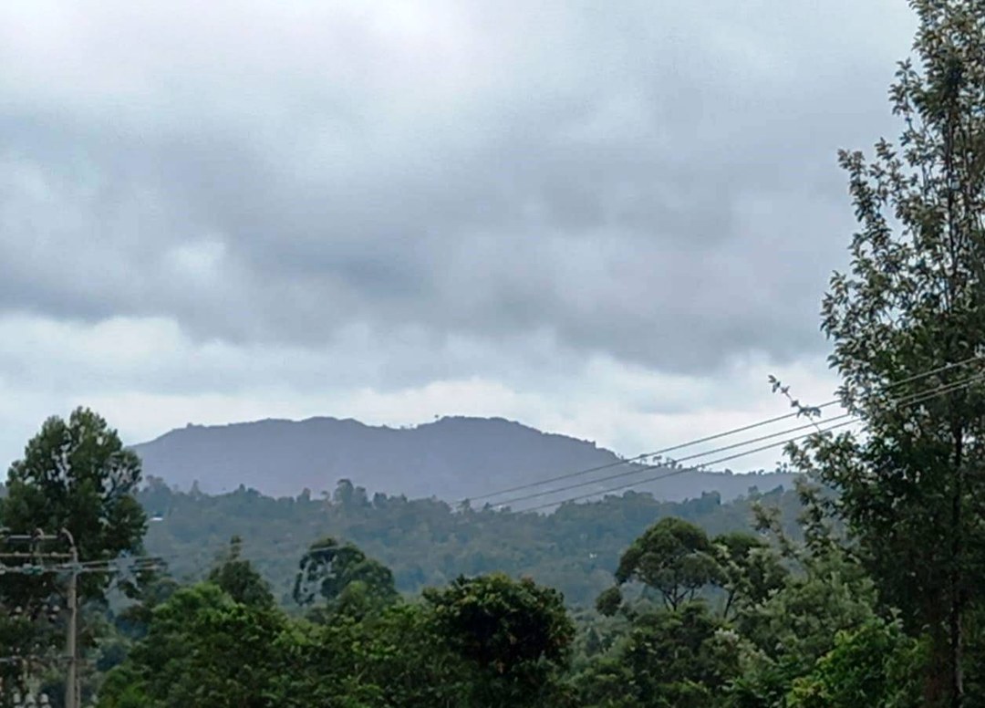 Bunyore Hills（布尼奥雷丘陵）-非行家旅行-Africa Wild Wander