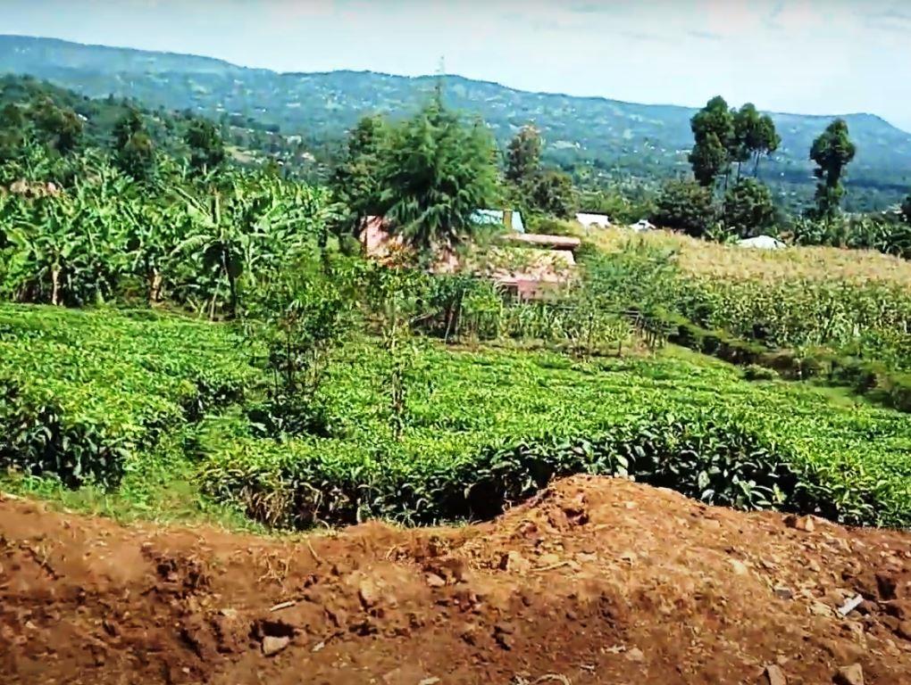 Sameta Hill（自然景观 / 徒步）