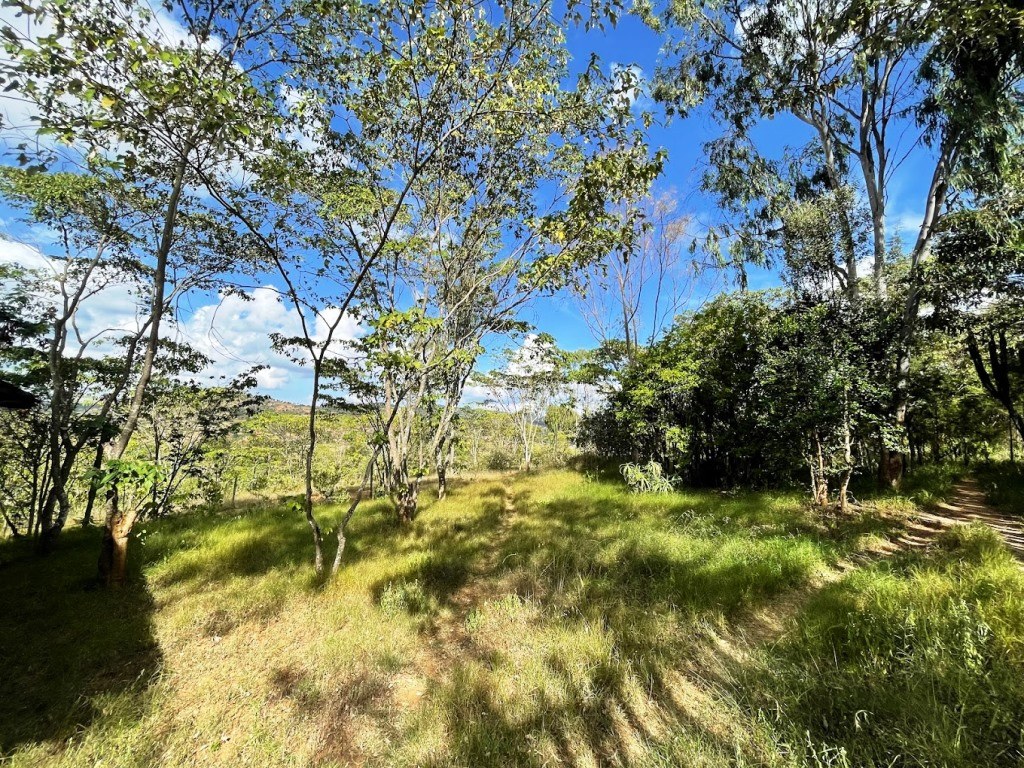 Ngari Hill Ecolodge（住宿 / Safari 营地）