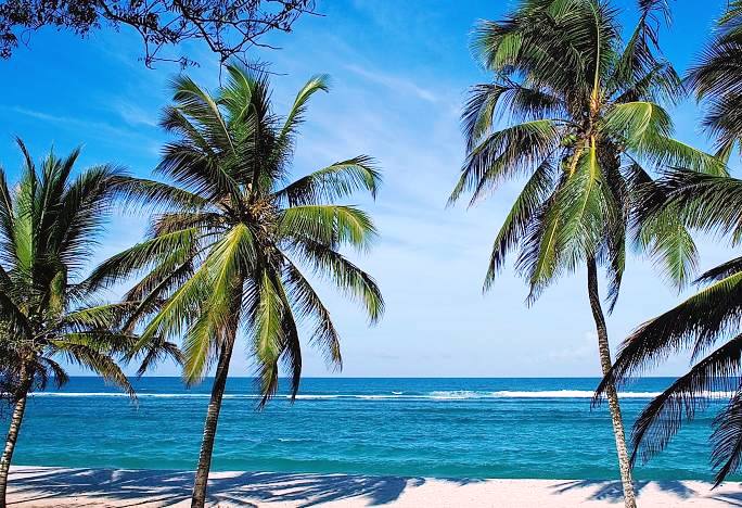 Tiwi Beach(蒂维海滩)-非行家旅行-Africa Wild Wander