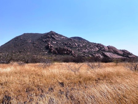 Boji Dera Camp（自然景观 / 徒步）-非行家旅行-Africa Wild Wander