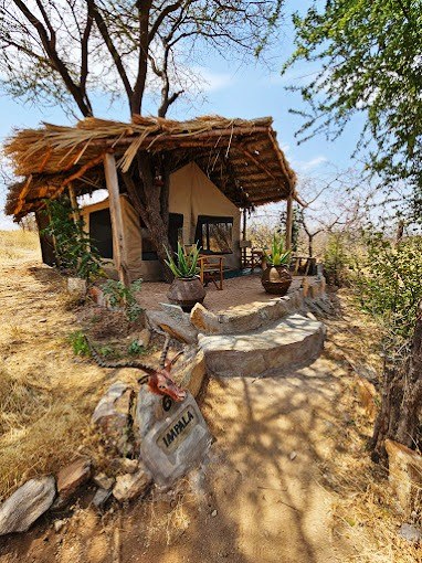 Lion’s Cave Camp（住宿 / Safari 营地）-非行家旅行-Africa Wild Wander