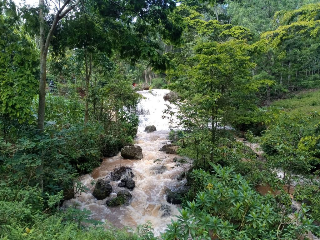 Kirimiri Forest（自然景观 / 徒步）-非行家旅行-Africa Wild Wander