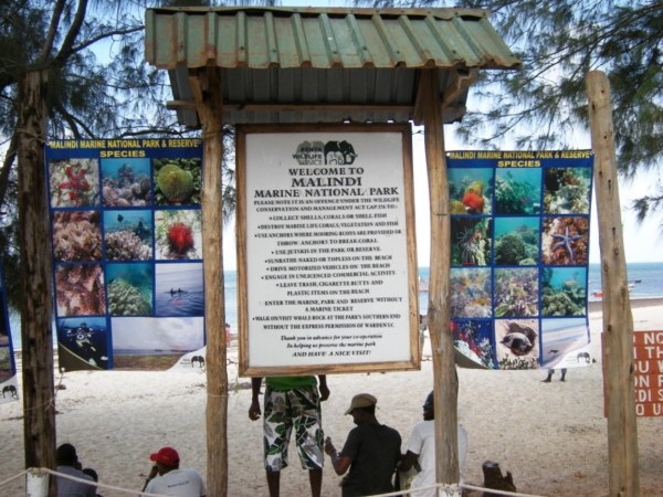 Malindi Marine Park（历史遗产 / 博物馆）-非行家旅行-Africa Wild Wander